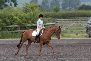 ISIS Dressage Challenge 2008